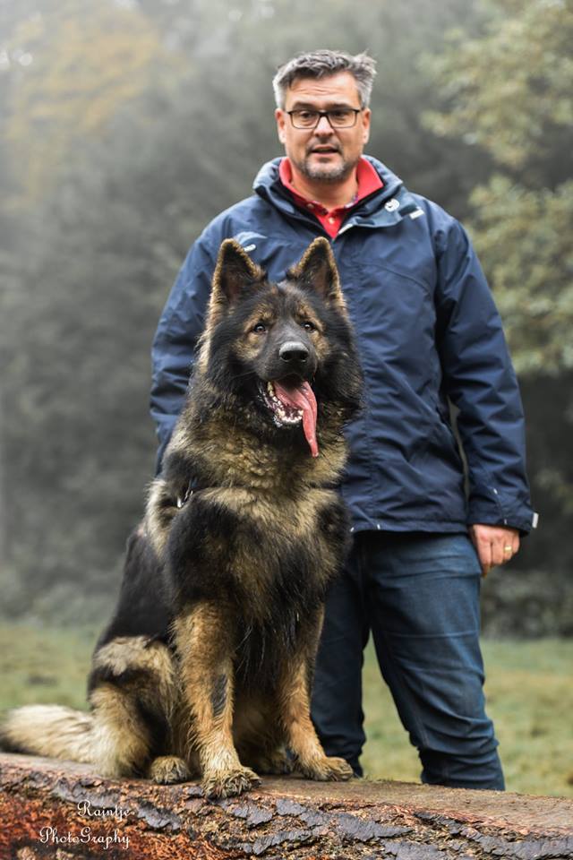 Arno - Oudduitse Herder