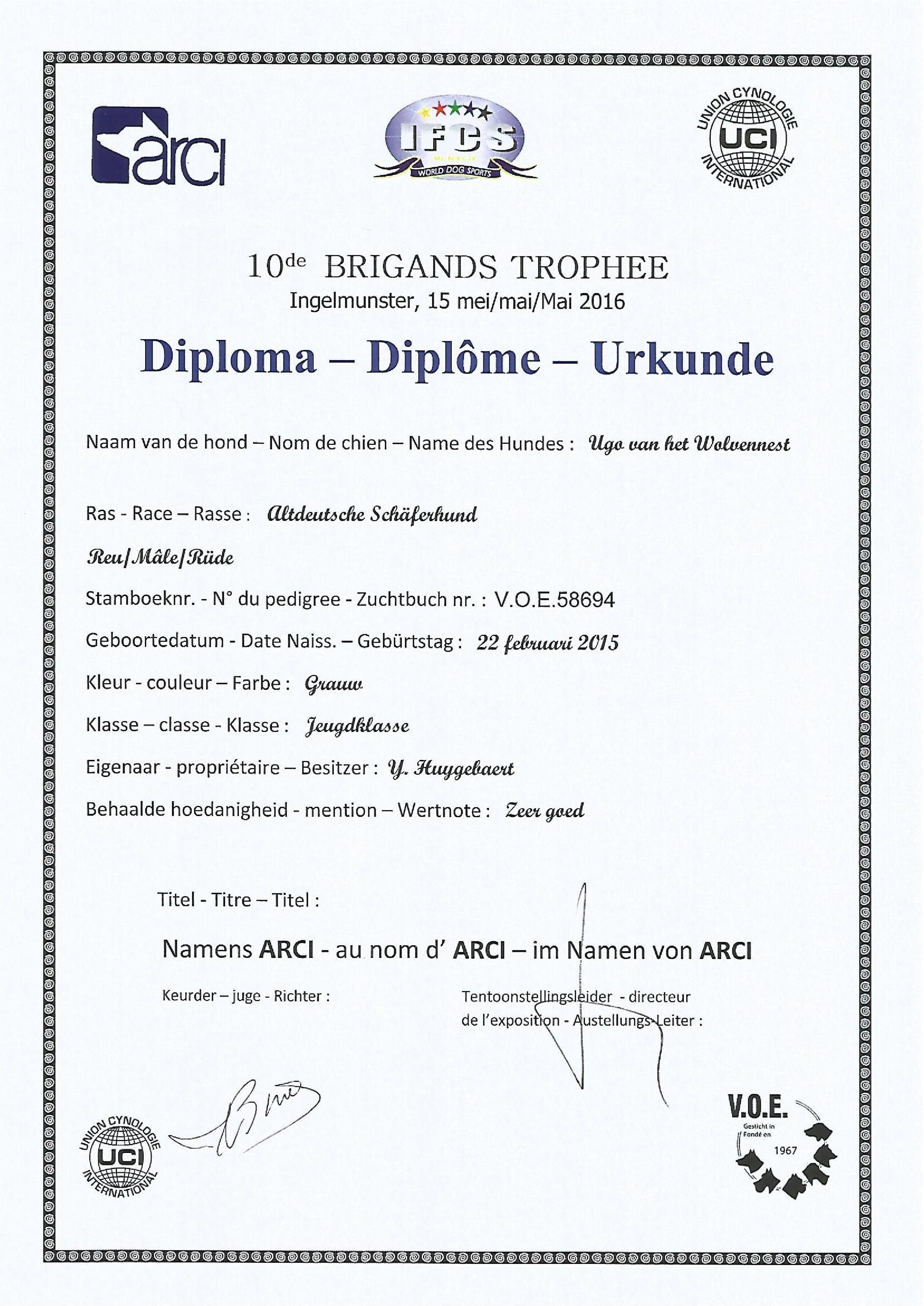 Hd en Ed - Oudduitse Herder