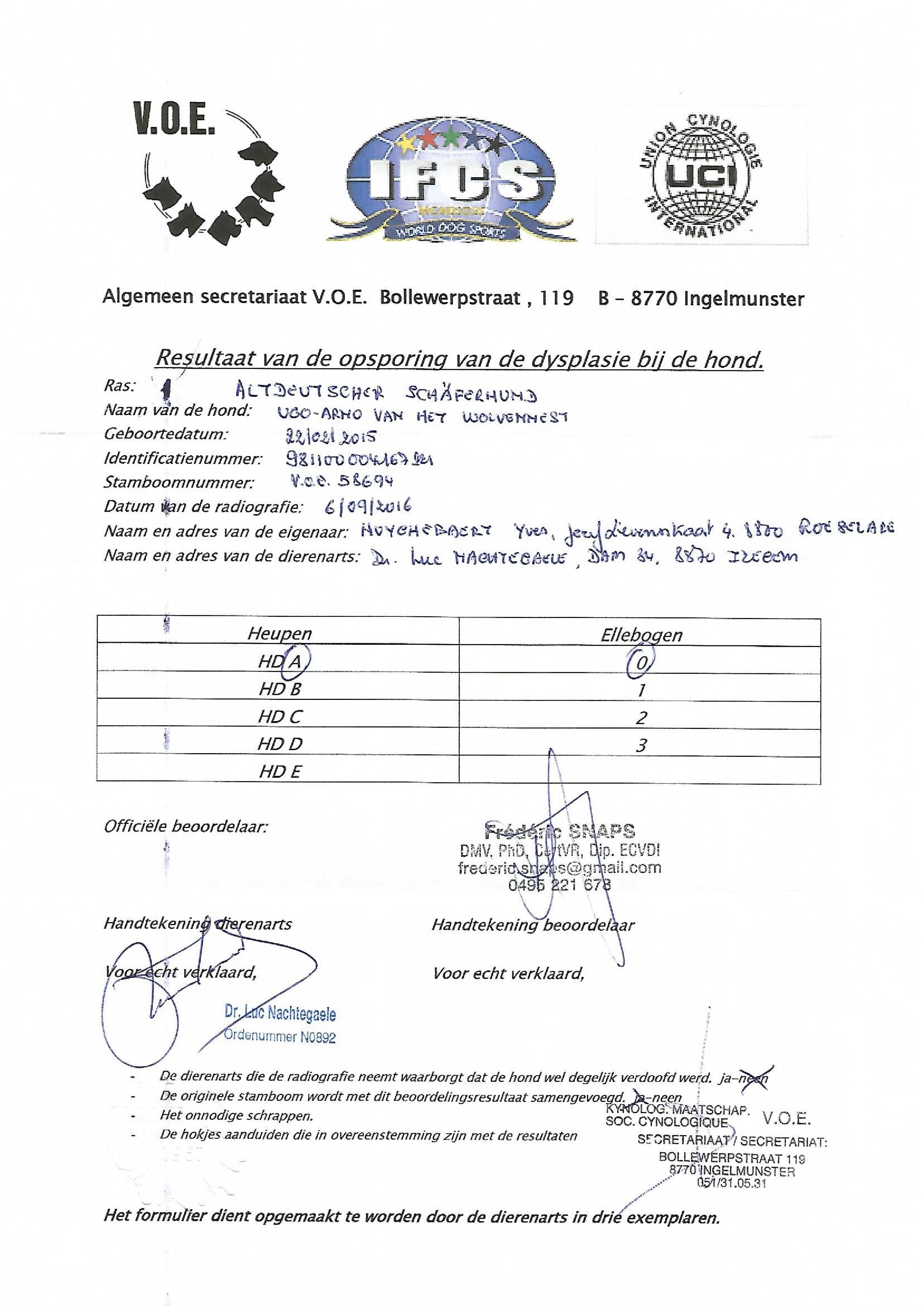 Hd en Ed - Oudduitse Herder