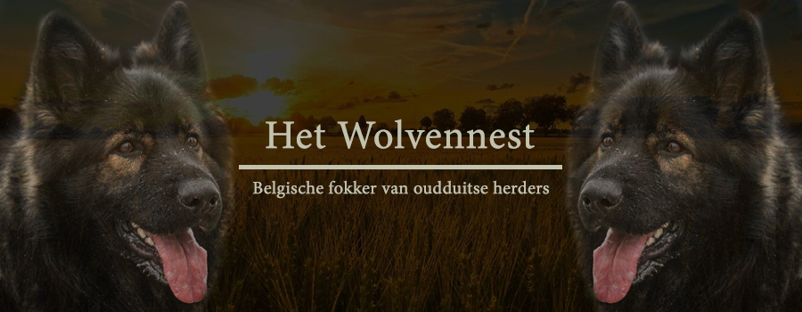 Het Wolvennest